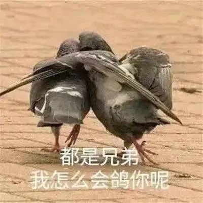 京东商城官网_京东快递_京东