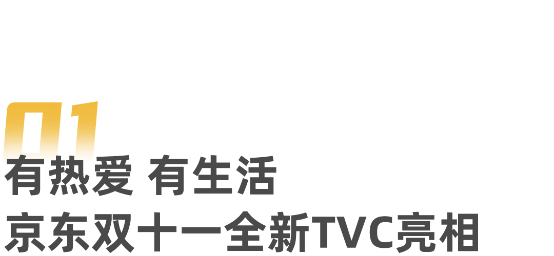 双十一京东成交额_双十一京东打折吿_京东双十一