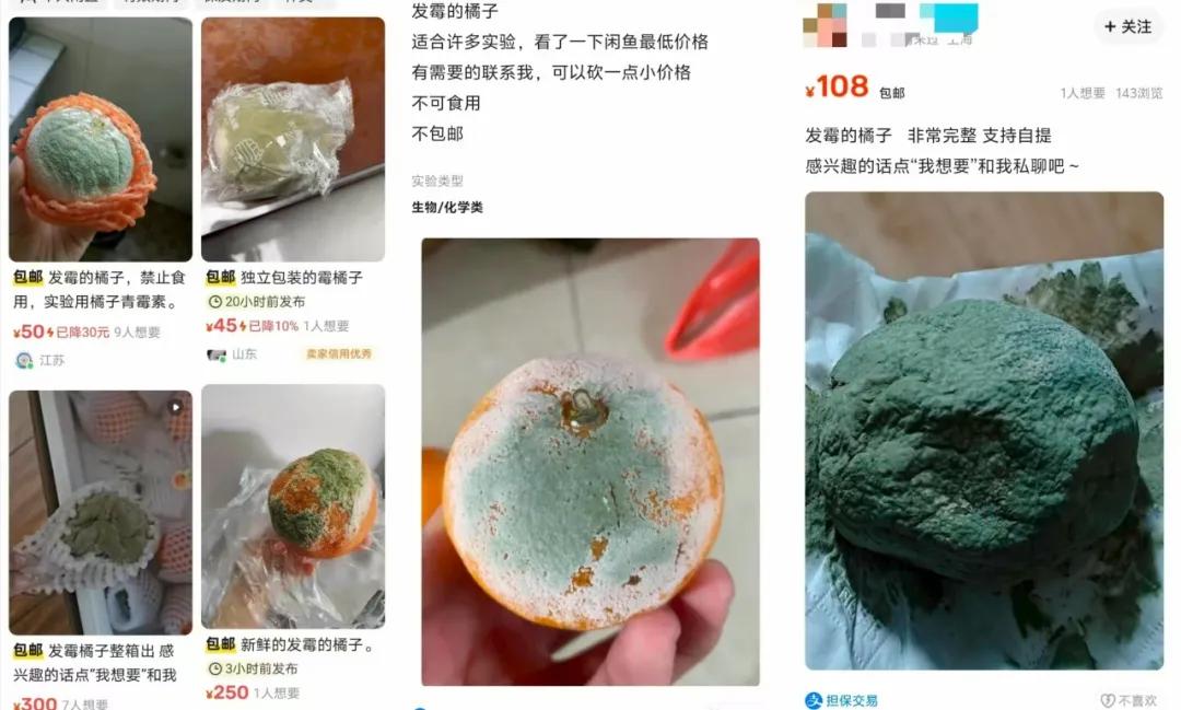 闲鱼 万物皆可挂 情绪商品_闲鱼