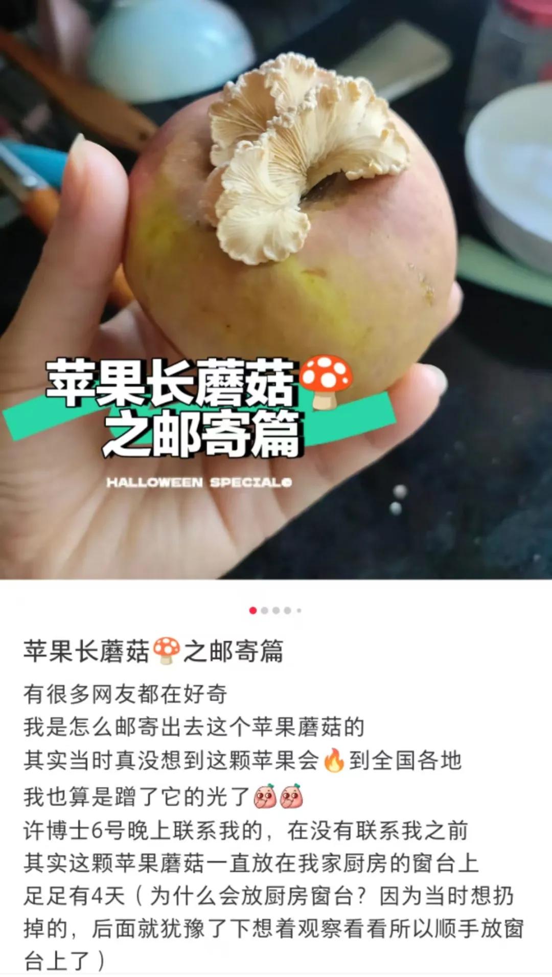 闲鱼 万物皆可挂 情绪商品_闲鱼