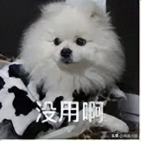 网盘推广有价值资料_迅雷网盘拉新如何做_网盘推广正确方法