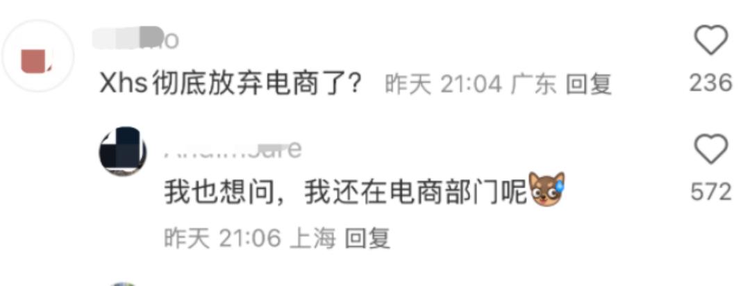 小红书如何玩转电商_小红书电商模式是什么_小红书电商
