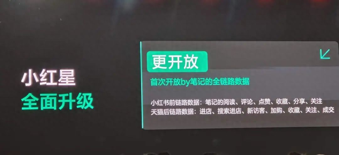 小红书_小红书官网_小红书怎么开网店