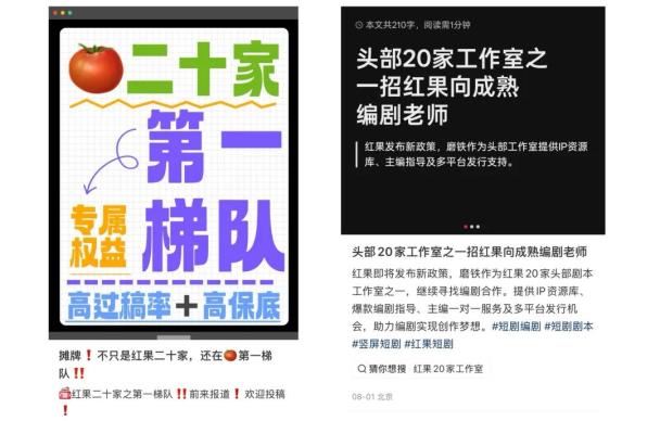红果短剧演员入驻平台_红果短剧编剧激励政策_红果短剧拉新怎么做
