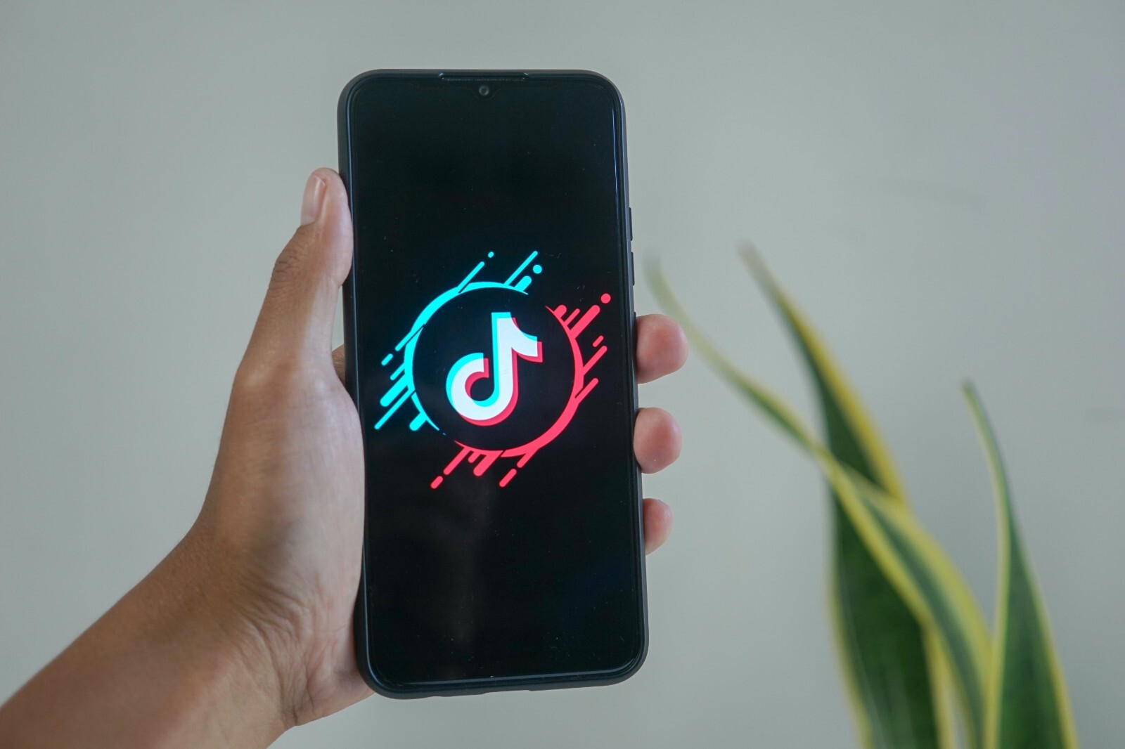跨境热点：又有新动作！TikTok Shop推出“全托管”运营模式？