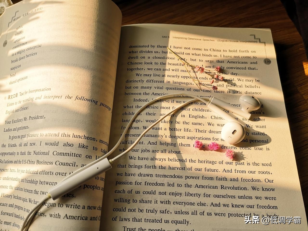 番茄小说新手作者赚钱技巧_番茄小说拉新是真的吗_新人作者在番茄赚稿费避坑指南