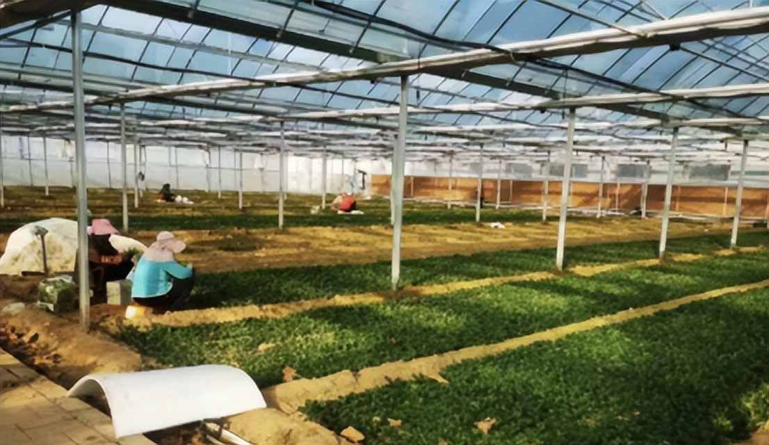 生鲜超市24小时菜_京东七鲜超市_京东七鲜源头直采蔬菜