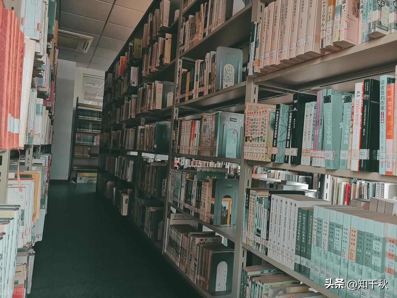 番茄小说_番茄小说新人写作指南_番茄小说写作赚钱技巧