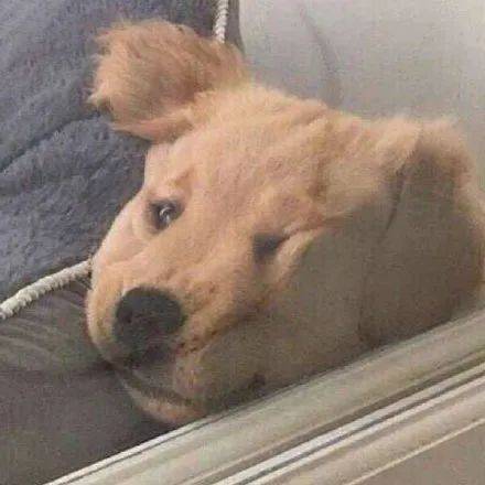 淘宝崩了服务器故障_天猫双11预售开启_淘宝双十一预售什么时候开始的