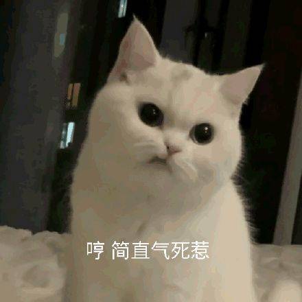 天猫双11预售开启_淘宝崩了服务器故障_淘宝双十一预售什么时候开始的