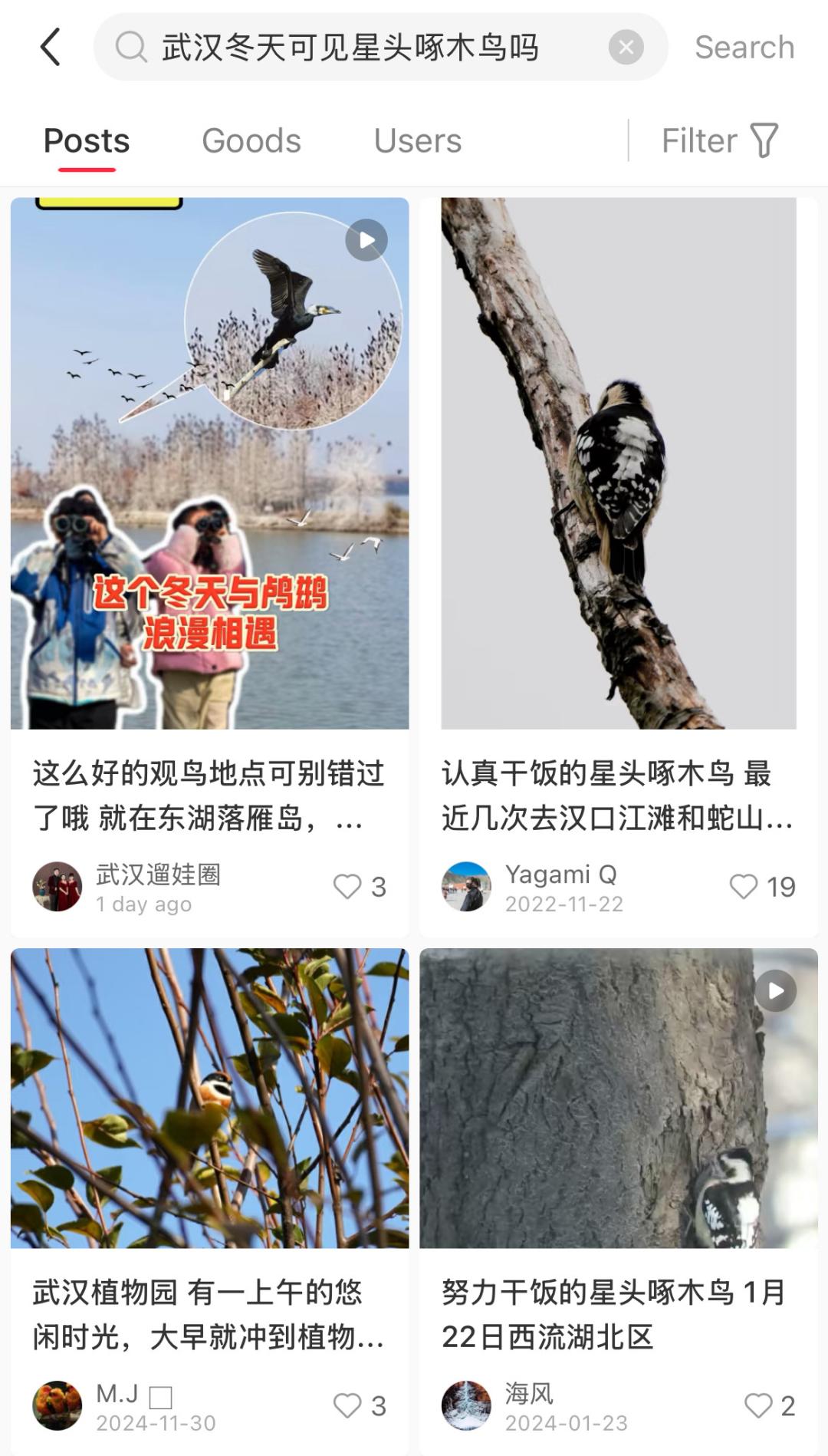 泼天的富贵涌向小红书后，意外发现它的AI搜索玩得这么high了