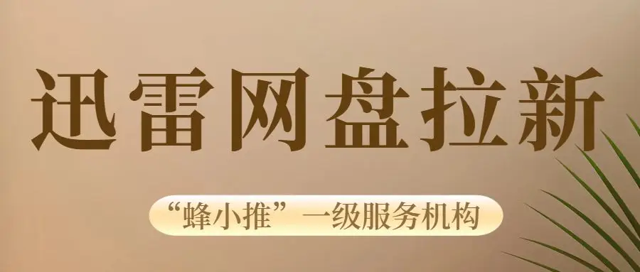 迅雷网盘渠道授权注意事项_迅雷网盘推广流程_迅雷网盘拉新授权