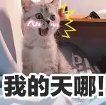 淘宝大额优惠券领取平台_领取淘宝隐藏优惠券_淘宝优惠券
