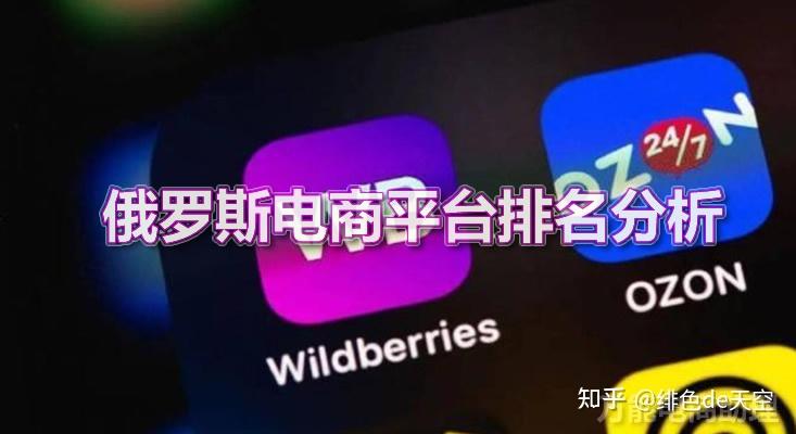 俄罗斯电商市场分析_俄罗斯电商_俄罗斯电商平台排名