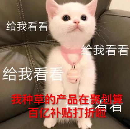 聚划算百亿补贴直播电商_聚划算明星直播_聚划算是什么