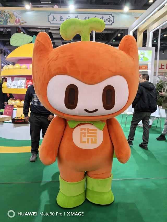 淘宝年货节_2021淘宝年货节攻略_淘宝年货节