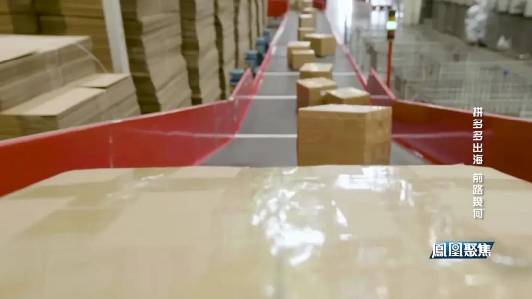 Temu美国市场风险与挑战_Temu海外版发展分析_TEMU