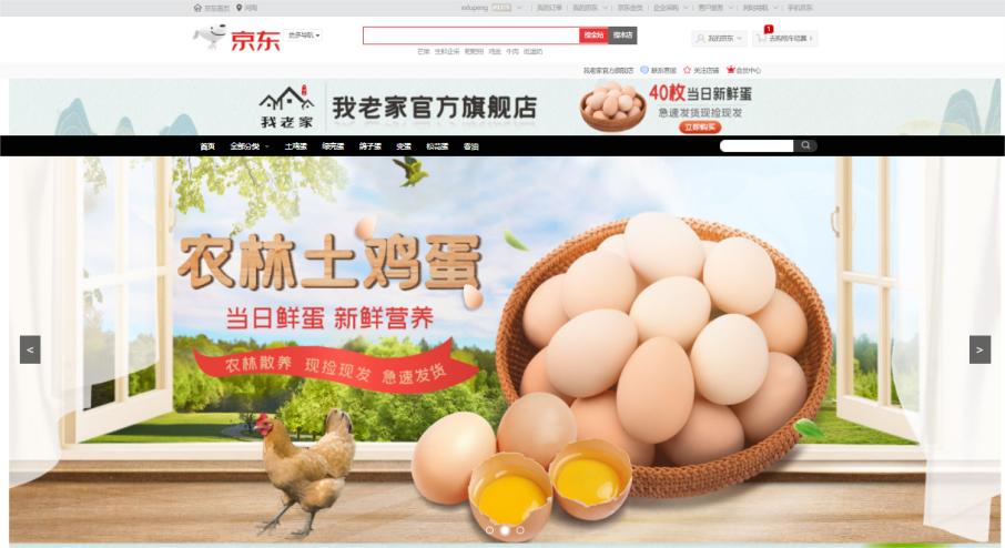 南阳热爱购京东年货节_京东南阳年货节活动_京东年货节