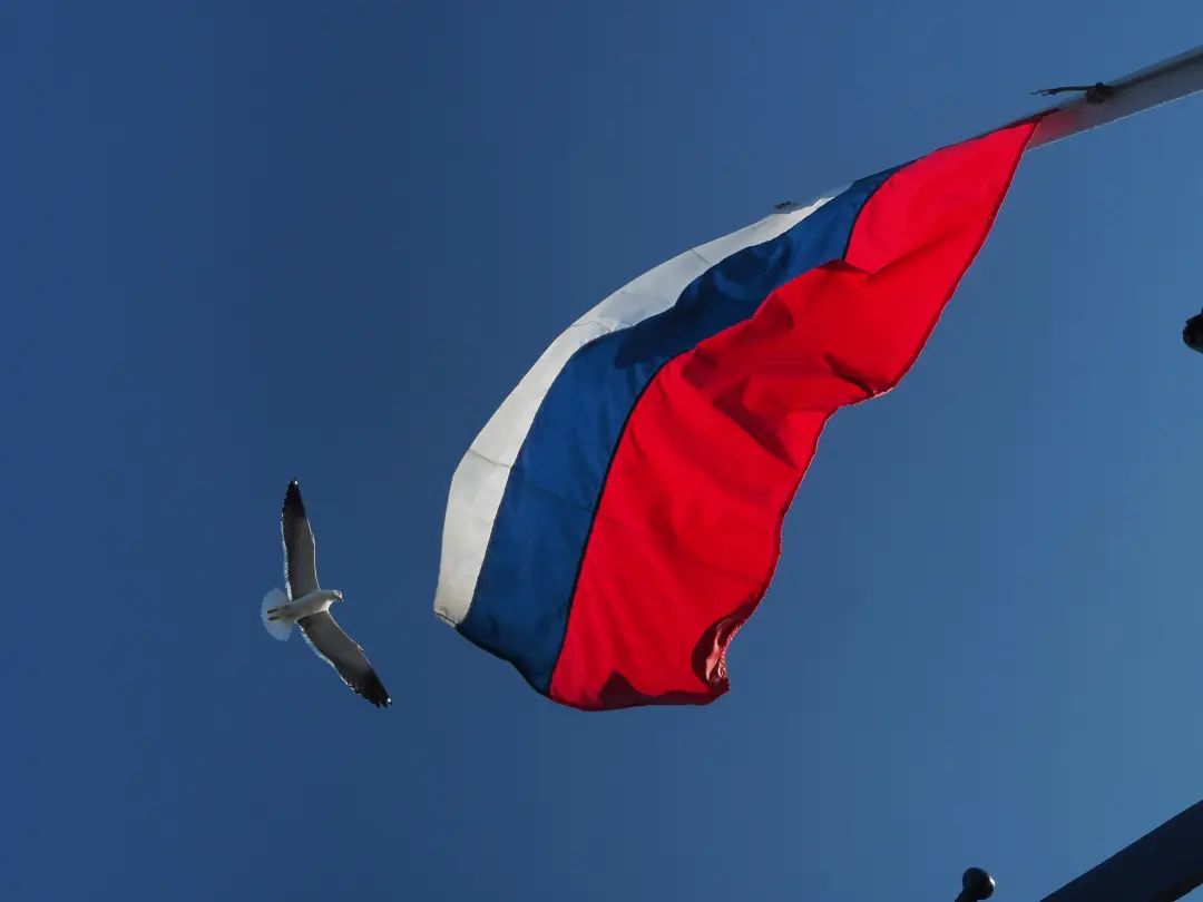 俄罗斯跨境电商市场分析_俄罗斯电商_中国商家在俄罗斯电商市场机遇与挑战