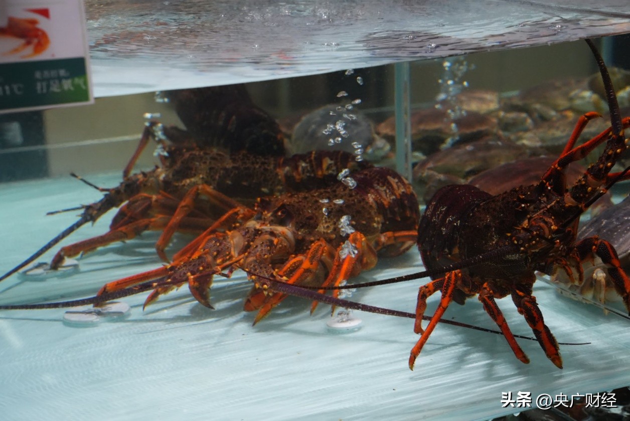 京东超市鲜虾鱼拌面_京东超市鲜花卡怎么兑换_京东七鲜超市